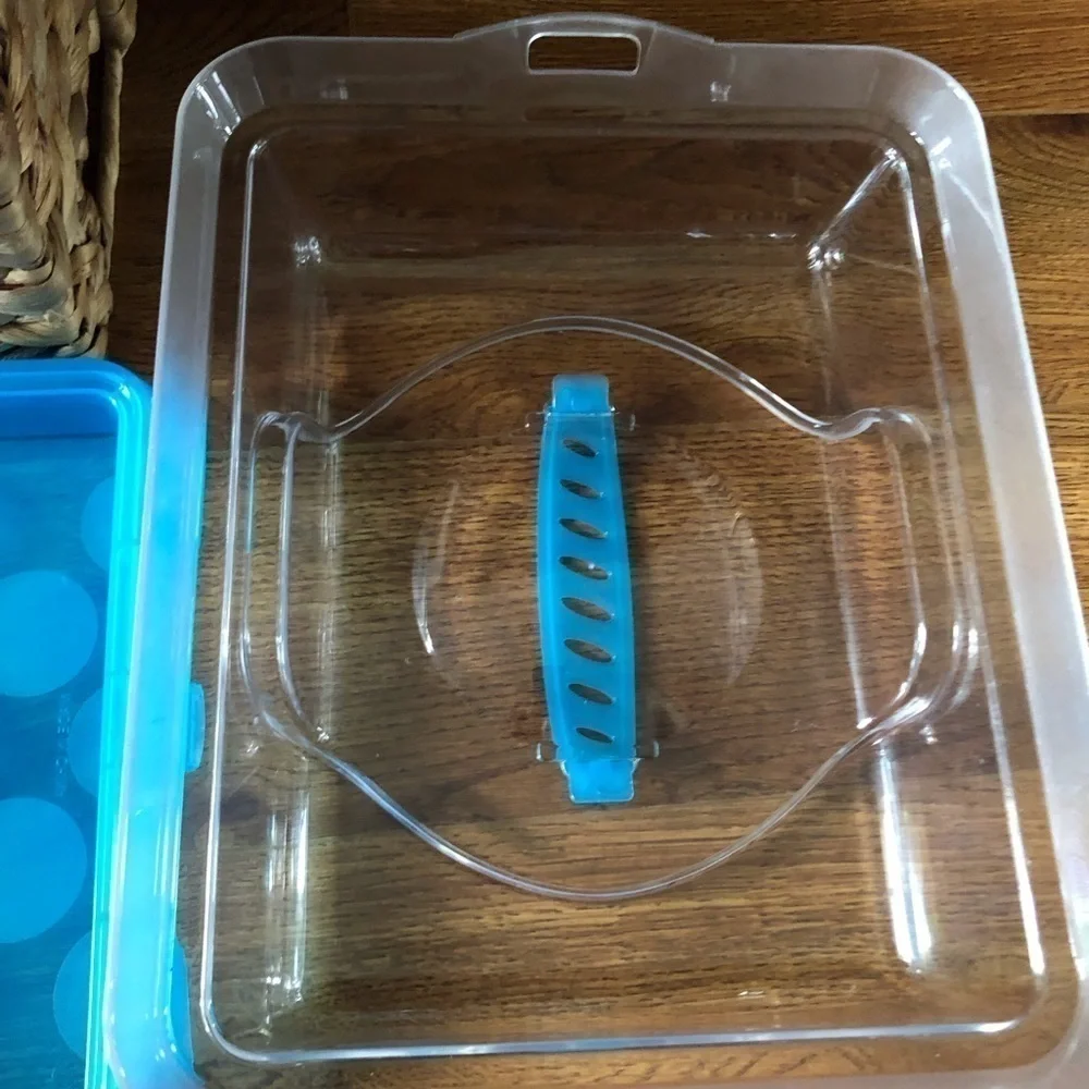 Blue Covered food dish with ice pack